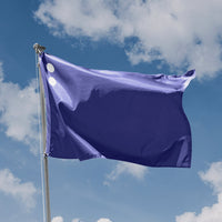 Flag Rear Admiral of the Blue