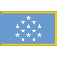 Medal of Honor Flag with Gold Fringe