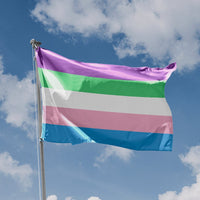 Cisn't Pride Flag