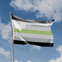 Agender Pride Flag - Flag Republic