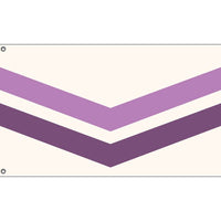 Queer Pride With Chevron Flag