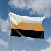 DID/OSDD System Pride Flag