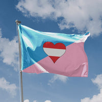 Ageplay Flag