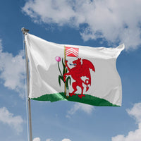 Flag of Cardiff