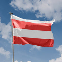 Flag of Brno - Flag Republic
