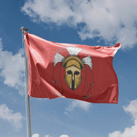 Spartan Officer Helmet Flag - Flag Republic