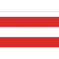 Flag of Brno - Flag Republic