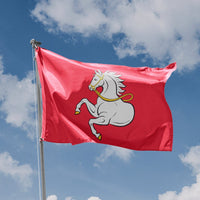 Flag of Pardubice
