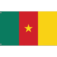 Republic of Cameroon Flag