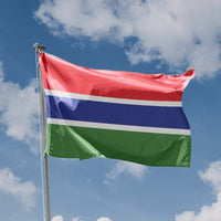 Flag of The Gambia