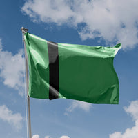 Flag of Delhi Sultanate