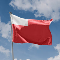 Abu Dhabi Flag - Flag Republic