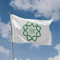 Tehran Flag