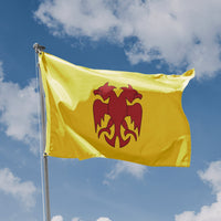 Saladin's Personal Standard Flag