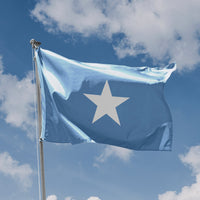 West Florida Flag - Flag Republic