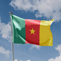 Republic of Cameroon Flag