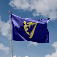 Royal Standard of Ireland (1542–1801)
