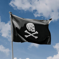 Henry Every Pirate Flag