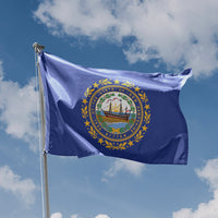 State Flag of New Hampshire, USA