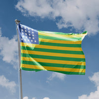 Flag of Brazil (1889) - Flag Republic