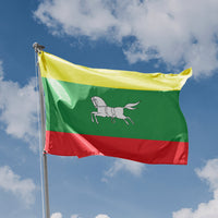 Zuidlaren Flag