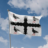 Flag of Flintshire, Wales
