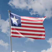 Naval ensign of Texas - Flag Republic