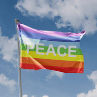 Rainbow Peace, Protest Flag
