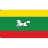 Zuidlaren Flag