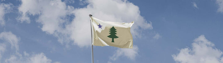 Counties, States and Regions Flags