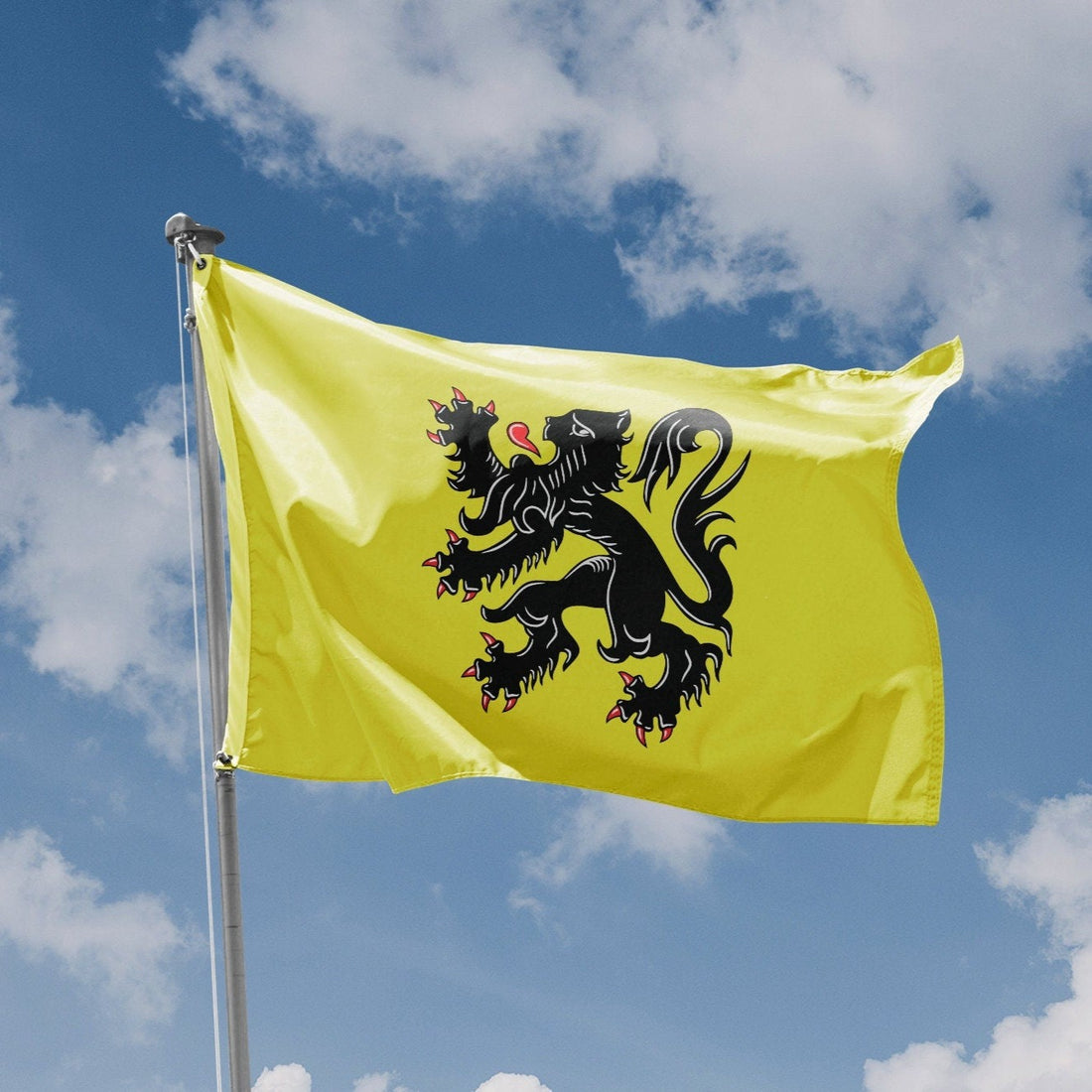 Flanders Flag - Flag Republic