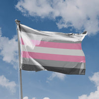 Demigirl Pride Flag