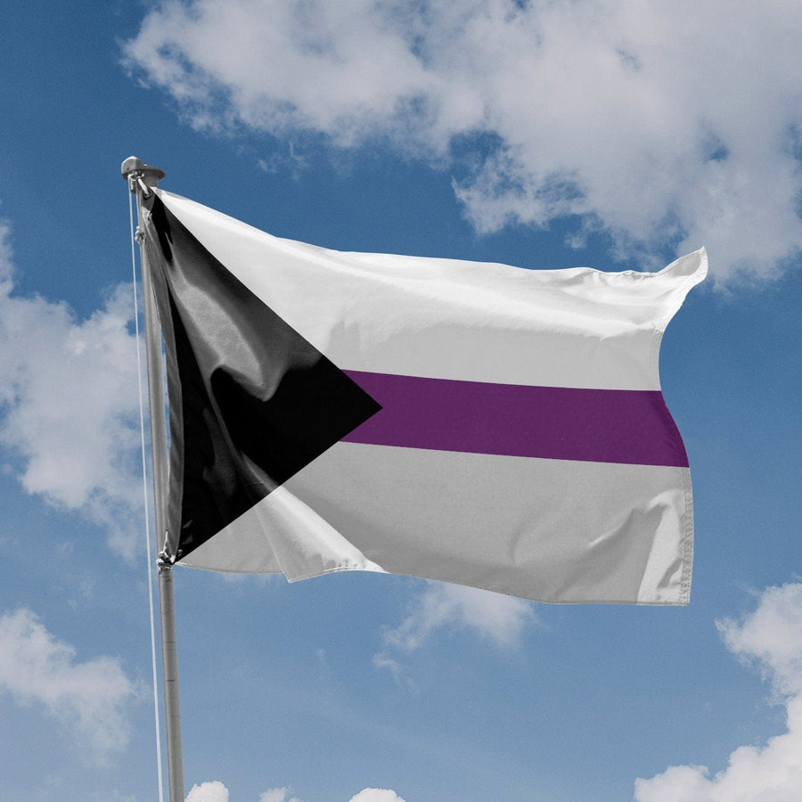 Demisexual Pride Flag - Flag Republic