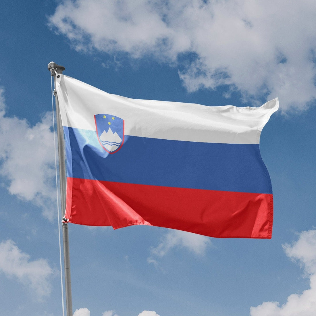 Flag of Slovenia - Flag Republic