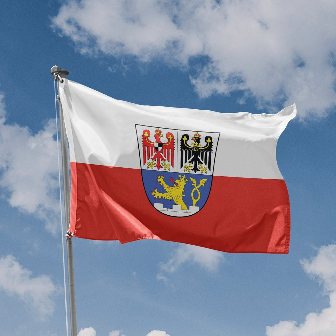 Erlangen, Bavaria, Germany Flag