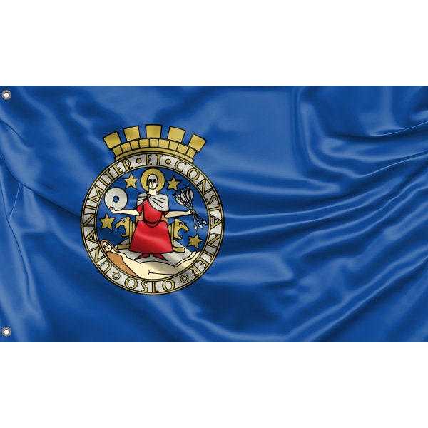 Oslo City Flag