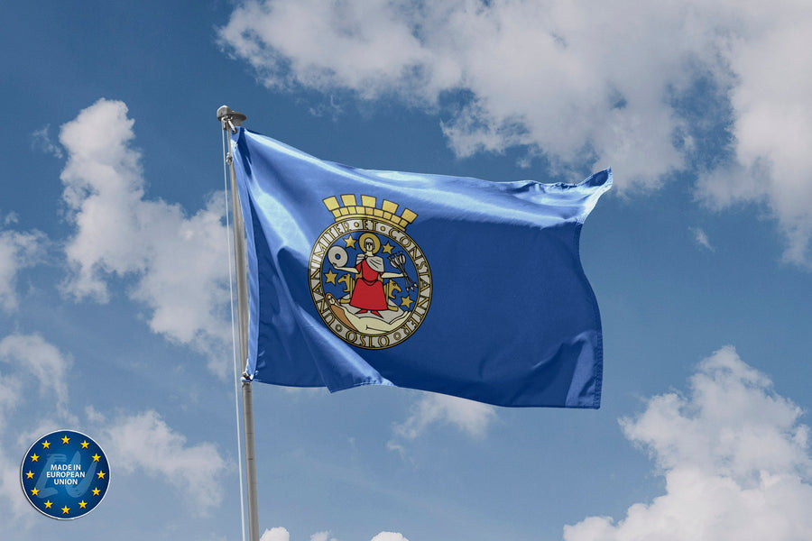 Oslo City Flag