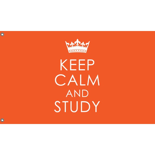 Keep Calm And Study Flag