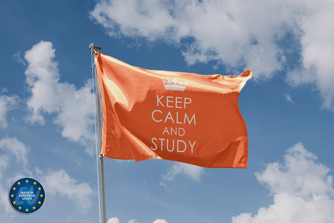 Keep Calm And Study Flag