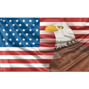 USA And Eagle Flag