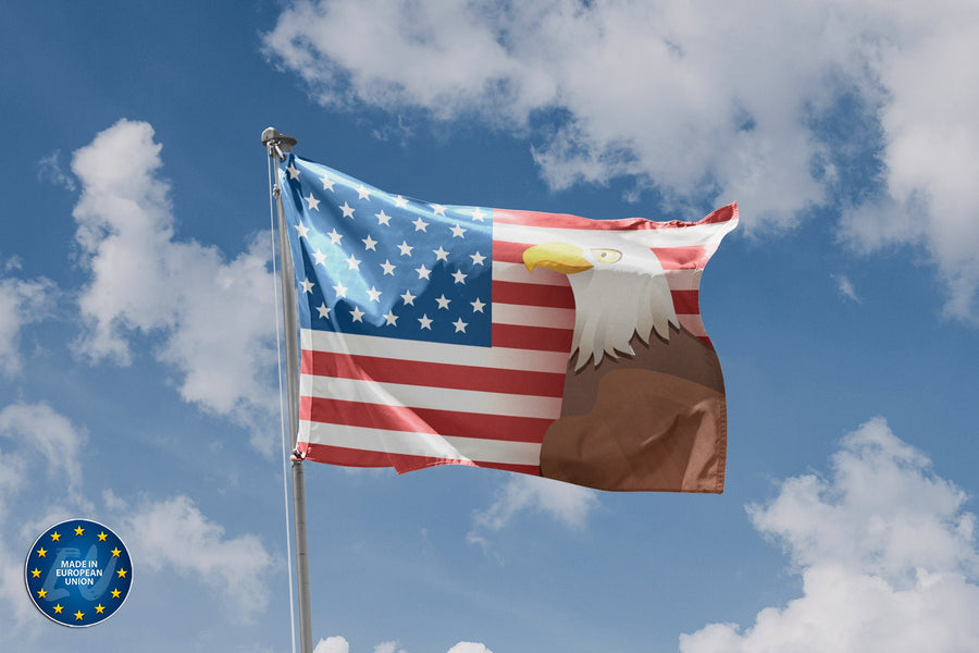 USA And Eagle Flag