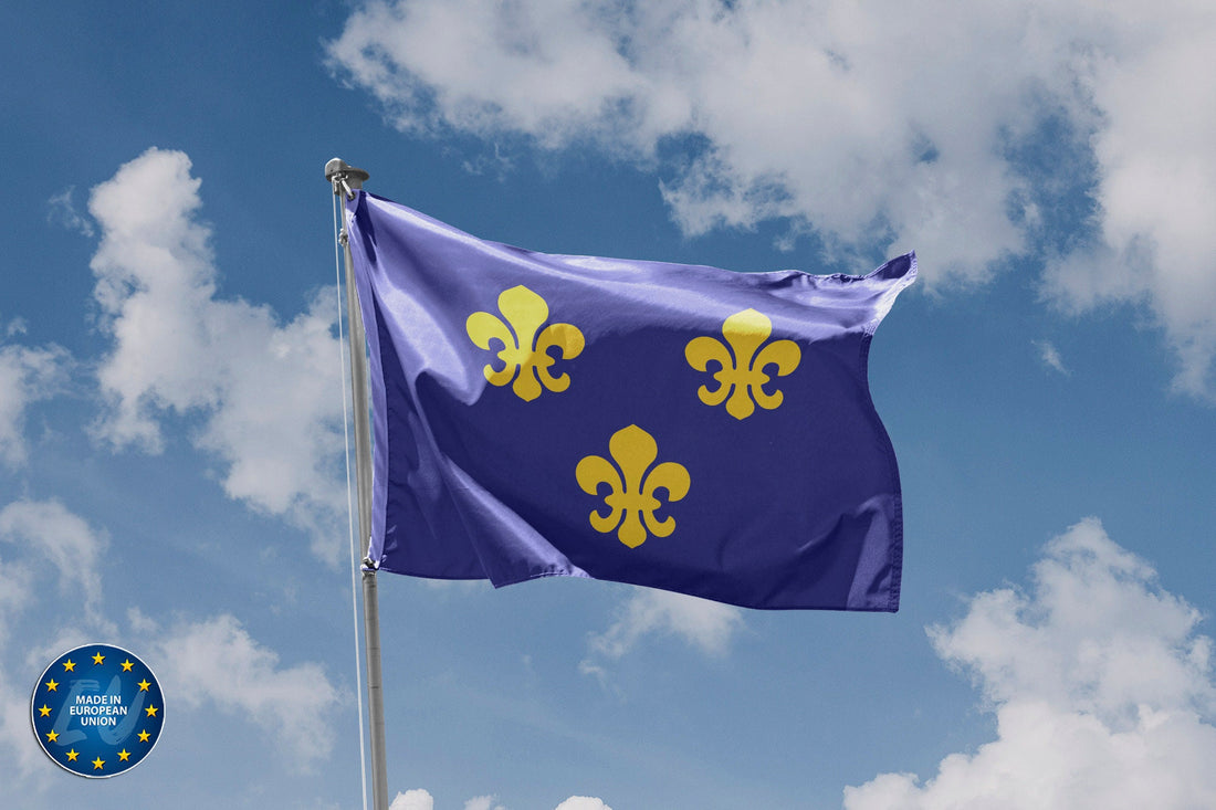 Medieval France Flag