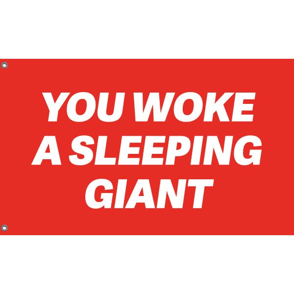 You Woke A Sleeping Giant Flag