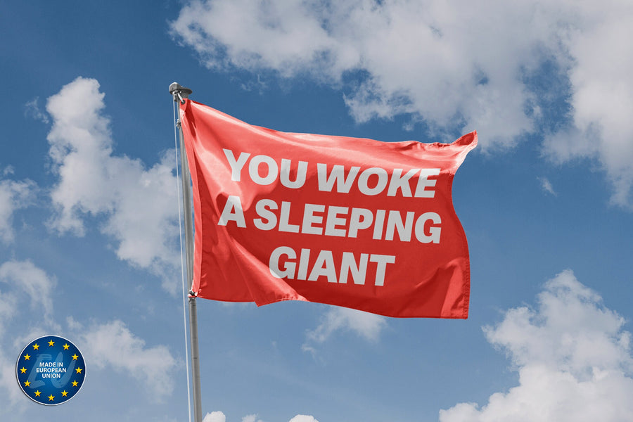 You Woke A Sleeping Giant Flag