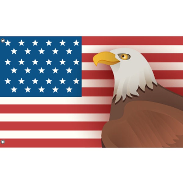 USA And Eagle Flag