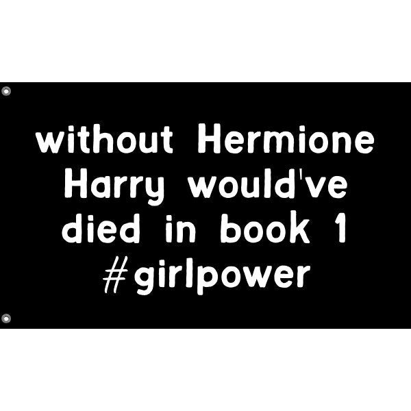 Harry Without Hermione Flag