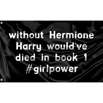 Harry Without Hermione Flag