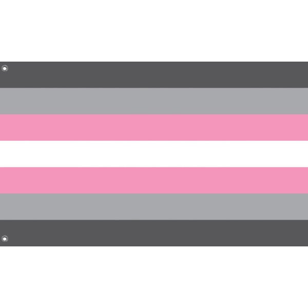 Demigirl Pride Flag