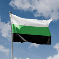 Neutrois Pride Flag