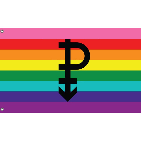 Pansexual Flag